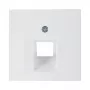 Berker 14078989 Placa central para toma de datos UAE, blanco polar brillante
