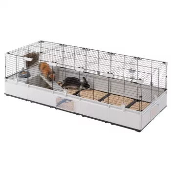 FERPLAST Modular 4 – Jaula para conejos y cobayas – 179 x 72 x 56 cm