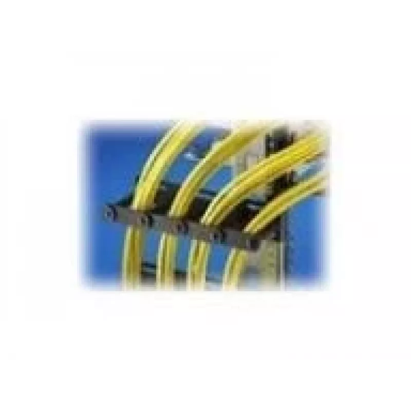 Guía de gestión de cables Rittal DK - rack - kit de gestión de cables - 4U - 48,3 cm (19