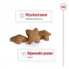 Pienso seco para perros Royal Canin Adult Mini S 8 kg — alimento completo para perros adultos pequeños