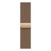 Correa Apple MGHW4ZM/A accesorio para dispositivo wearable oro acero inoxidable 40 mm