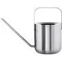 Regadera blomus PLANTO 1,0 l plata – regadera de metal para plantas de interior/jardín