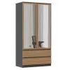 Topeshop SZAFA MALWA AN/AR L armario de dormitorio 5 baldas 2 puertas