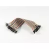 ALLNET 4duino cable Dupont 40 PIN 20 centímetros conector macho (ALL-A-4 (B4))