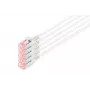 Digitus DK-1624-100S-5 Cable patch Slim CAT 6 U/FTP, 10 m, gris, paquete de 5