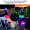 Collar LED KABB azul para perros y gatos – recargable, collar de seguridad ajustable con iluminación