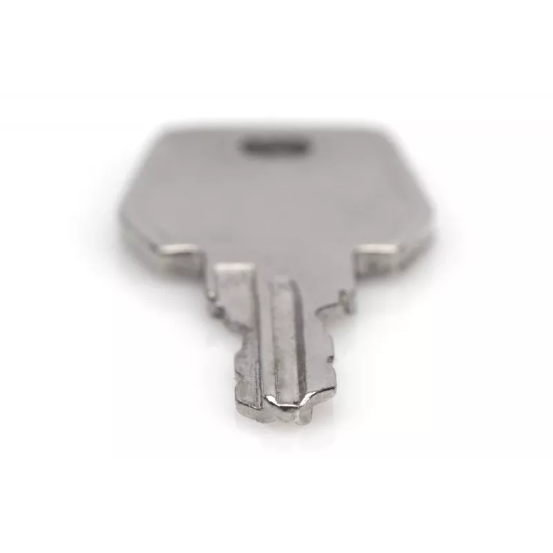 Llave para armarios de red y servidores Digitus DN-19 KEY-9473