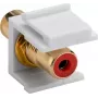 Goobay 79669 - Plano - Rojo - Blanco - RCA - RCA - Conector hembra - Conector hembra (79669)