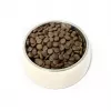 PUPIL Premium Insectos - Pienso seco para perros - 12 kg