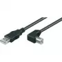 Wentronic Goobay Cable USB 2.0 Hi-Speed, Negro, 5 m - conector macho USB 2.0 (Type-A) > conector macho USB 2.0 (Type-B) (95118)