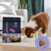 ADDVENA Power of Nature Junior Medium/Large Lamb - Pienso para perros - 10 kg