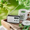Adler AD 1907 radio digital PLL, AM/FM, 40 presintonías, alarma con repetición, USB-C, batería recargable integrada, conector de 3,5 mm, blanco/negro