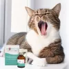 Spray bucal JM Sante Vet Protector 30 ml para perros y gatos, líquido, sin conservantes, sin azúcar