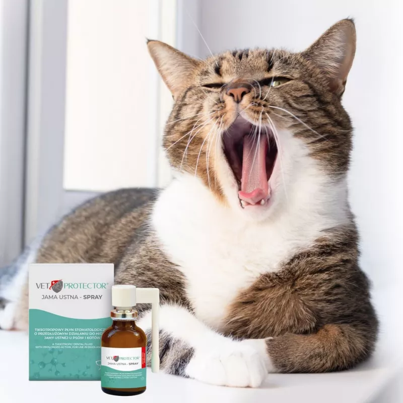 Spray bucal JM Sante Vet Protector 30 ml para perros y gatos, líquido, sin conservantes, sin azúcar
