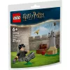 Set LEGO Harry Potter 30706 Quidditch-Unterricht con minifiguras de Harry y Draco