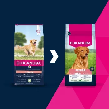Pienso seco para perros Eukanuba Senior L XL Rich in lamb & rice 12 kg