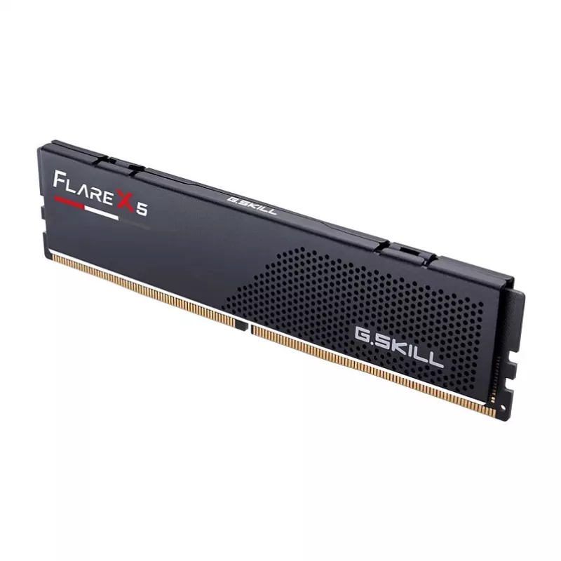 G.Skill Flare X5 F5-5200J4040A24GX1-FX5, 24 GB, 1 x 24 GB, DDR5, 5200 MHz, 288-pin DIMM
