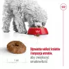 ROYAL CANIN Mini Ageing Adult +12 - Pienso para perros - 3,5 kg