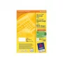 Avery Zweckform 3651 Etiquetas universales 52,5 x 29,7 mm 100 hojas Blanco