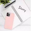 Fixed Story | Cubierta trasera | Apple | iPhone 16 Pro | Engomada | Rosa
