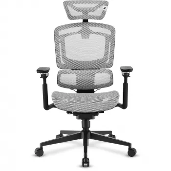 Silla de oficina Sharkoon OfficePal C50M — asiento acolchado, respaldo de malla, negra, respaldo 49 × 63 cm, anchura de asiento 50 cm