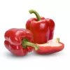 PNOS pimiento Jolanta semillas de hortalizas, 0,5 g