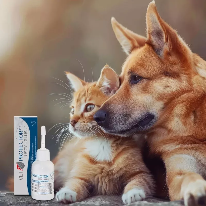 Solución ótica JM Sante Vet Protector Uszy Plus 50 ml — cuidado de oídos para perros y gatos adultos, frasco de plástico
