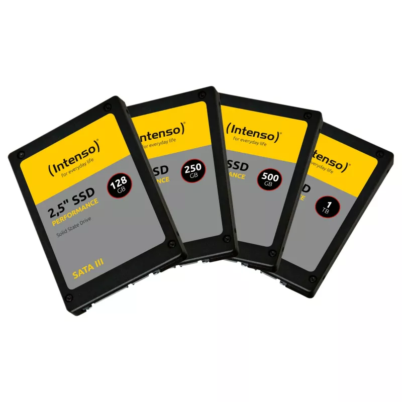 Intenso Performance - SSD - 1 TB - interna - 2,5
