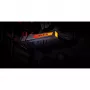 Grabadora de vídeo AVerMedia Live Gamer DUO