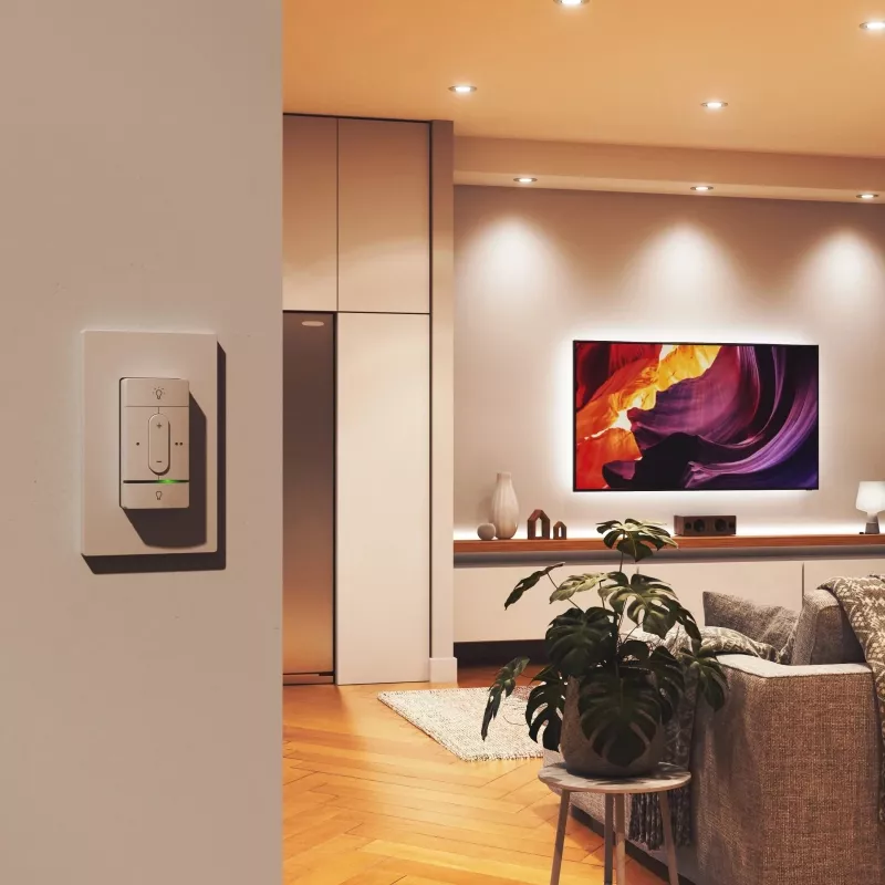 Interruptor inalámbrico inteligente Nanoleaf N4400C02-1BUT — a pilas, control personalizable para luces y dispositivos inteligentes