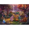 Thomas Kinkade Studios: Disney - Robin Hood, puzzle 1000 piezas