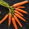 PNOS zanahoria comestible Dolanka semillas en cinta, 6 m