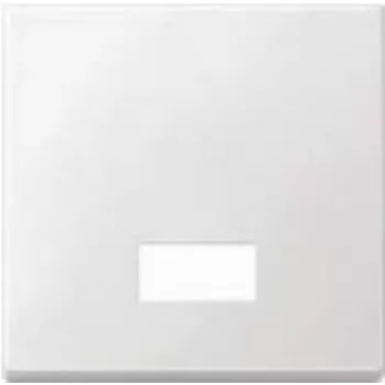 Merten 434819 interruptor de luz Duroplast (434819)