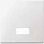 Merten 434819 interruptor de luz Duroplast (434819)