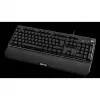 Qpad 9J.P7N81.K0G Negro