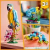 LEGO set de construcción loro exótico 31136 — modelo de exposición Creator, 253 piezas, 220×120×110 mm