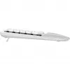 Logitech Ergo Series Wave Keys for Mac - Teclado - Inalámbrico - Bluetooth LE - AZERTY - Francés - blanco roto (920-012406)