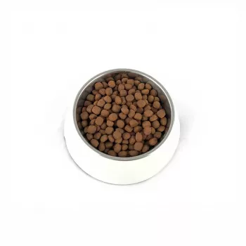 PUPIL Premium Light&Senior Razas medianas y grandes Rico en pavo y arroz - Pienso seco para perros - 12 kg