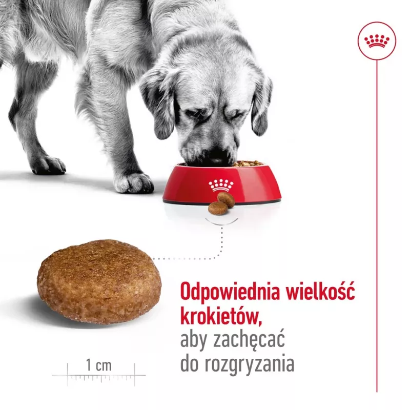 Royal Canin Maxi Adult 5+ pienso seco para perros, 15 kg