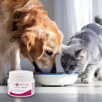 Complemento alimenticio JM Sante Multibiotic Vet Protector Gastro para perros y gatos, 60 g – apoyo probiótico para mascotas adultas