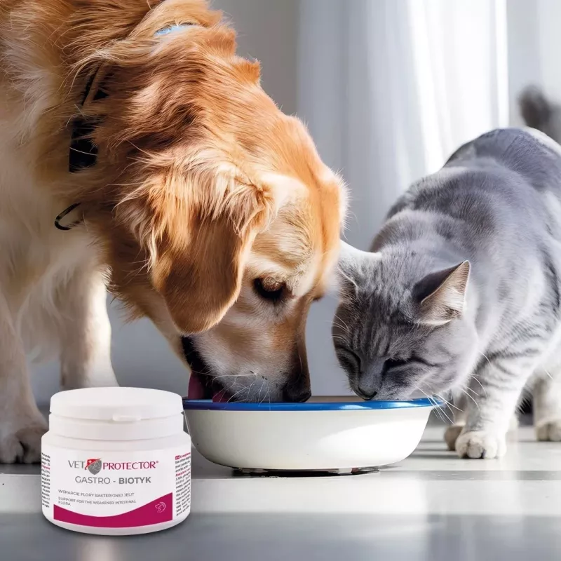 Complemento alimenticio JM Sante Multibiotic Vet Protector Gastro para perros y gatos, 60 g – apoyo probiótico para mascotas adultas