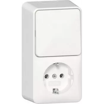 Toma SCHUKO GIRA 417613 combinación interruptor vertical superficie RW (417613)