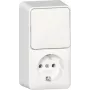 Toma SCHUKO GIRA 417613 combinación interruptor vertical superficie RW (417613)