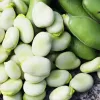 PNOS haba Jankiel White semillas, 50 g