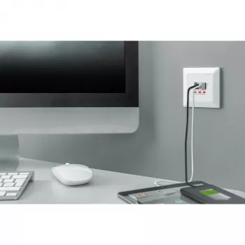 DIGITUS DA-70618 - salida USB - USB, USB Type C - 2 puertos USB, 1 conector hembra USB-C - 3,1 A - RAL 9003, blanco señal