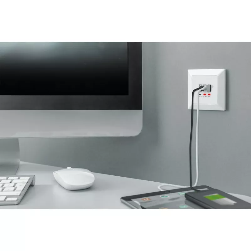 DIGITUS DA-70618 - salida USB - USB, USB Type C - 2 puertos USB, 1 conector hembra USB-C - 3,1 A - RAL 9003, blanco señal