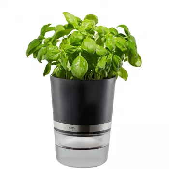Maceta de hierbas GEFU BOTANICO autónoma plástico, acero inoxidable negra