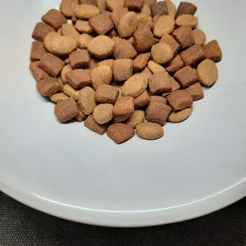 PUPIL Prime Mini Rico en aves con ternera - Pienso seco para perros - 10 kg