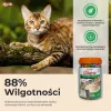 Snacks húmedos para gatos INABA Churu variedades — pollo y atún, 50 tubos de pasta de 14 g, sin cereales, sin gluten ni azúcar