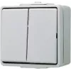 JUNG 605 W - interruptor de botón - 2P - cableado - gris - duroplast - 250 V
